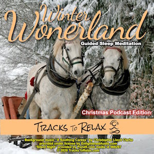 Winter Wonderland Sleep Meditation