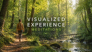A quiet forest path, Visualized Experiences collection artwork