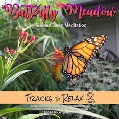 Butterfly Meadow Sleep Meditation