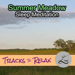 Summer Meadow Sleep Meditation