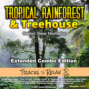 Tropical Rainforest - Treehouse Combo