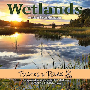 Wetlands Ambient Meditation