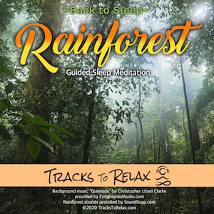 Back To Sleep Meditation - Rainforest